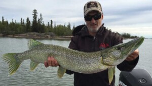 Angler Catches Neon Pike On Great Slave Lake