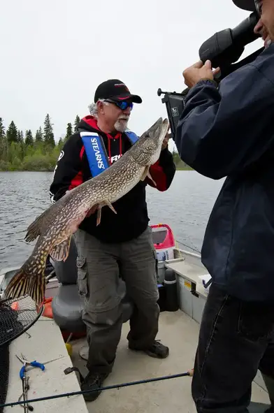 Pike and Walleye, Canada's Dynamic Duo - Episode 522 - Fish'n Canada