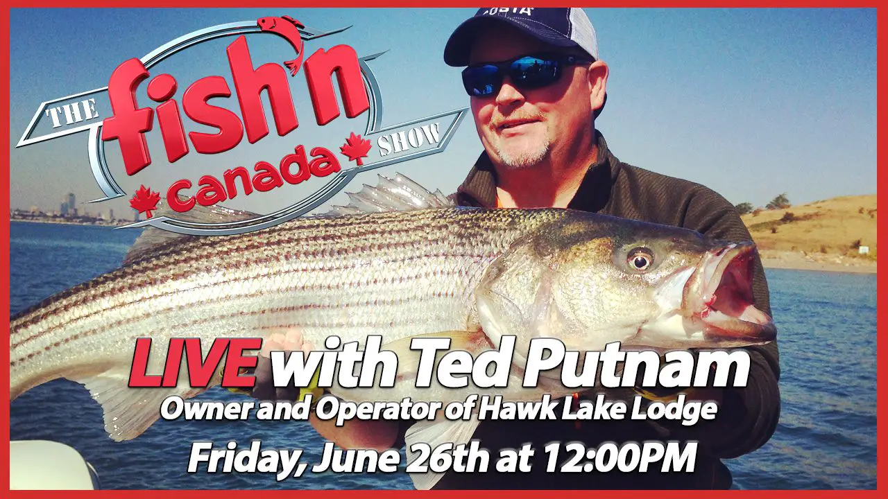 Live With Ted Putnam, Owner Of Hawk Lake Lodge 