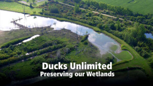 Jeff Krete – Ducks Unlimited