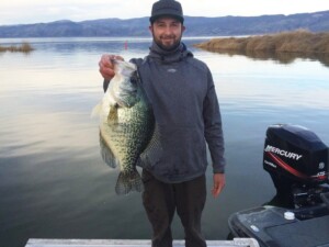 Gigantic Black Crappie Sets New State Record