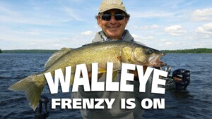 Fish Talk with the Doc – Walleye Frenzy