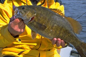 It’s Official, Bass Season is Open Now in Ontario’s Zone 20