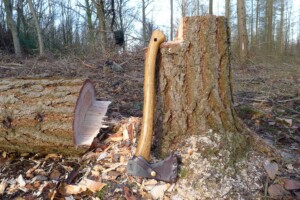 Paul Kirtley’s Wilderness Axe Skills and Campcraft