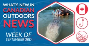 Week in Review – Deer COVID and Record Sturgeon