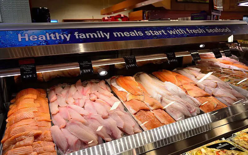 Seafood on display in grocery store