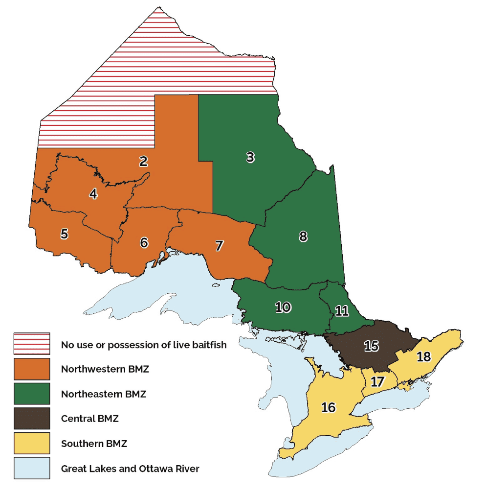 Changes are Coming to Ontario's Fishing Regulations Fish'n Canada