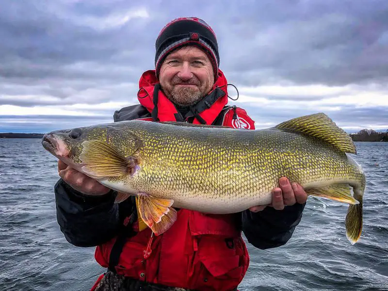 Pete Bowman with a cold water Quinte Walleye