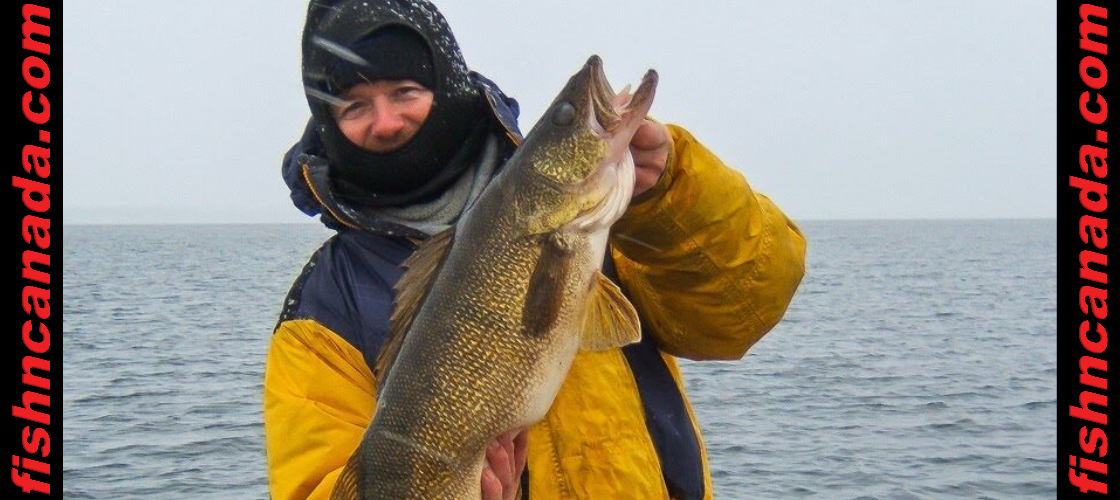 Open-water vertical jigging with an ice-fishing rod - Outdoor News