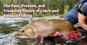 The Past, Present, and Troubling Future of Catch and Release Fishing