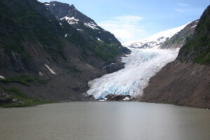 Melting glaciers could create thousands of kilometres of pacific salmon habitat