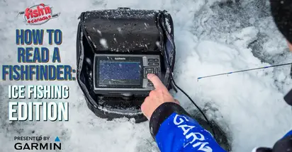 Reading a flasher or ice fishing sonar 