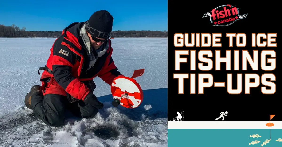 Danger Thin Ice Fishing Rainbow Trout with Jigging Jaw Jacker 