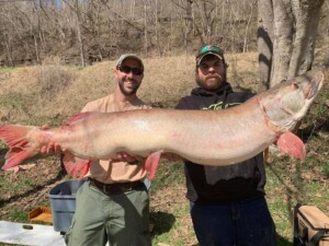 51-Pound Muskie Shatters State Record