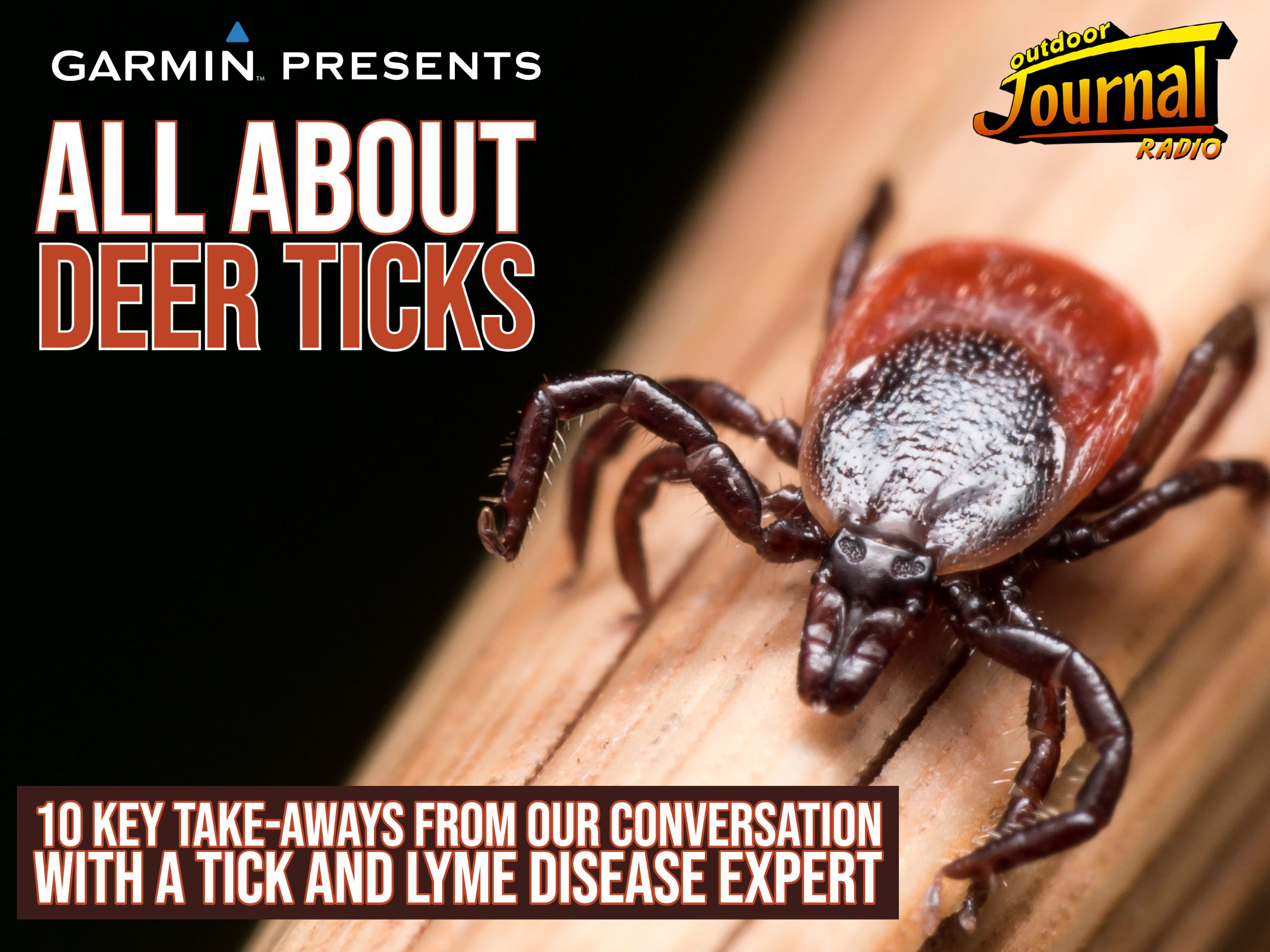 10 Key TakeAways from our Conversation with a Tick and Lyme Disease