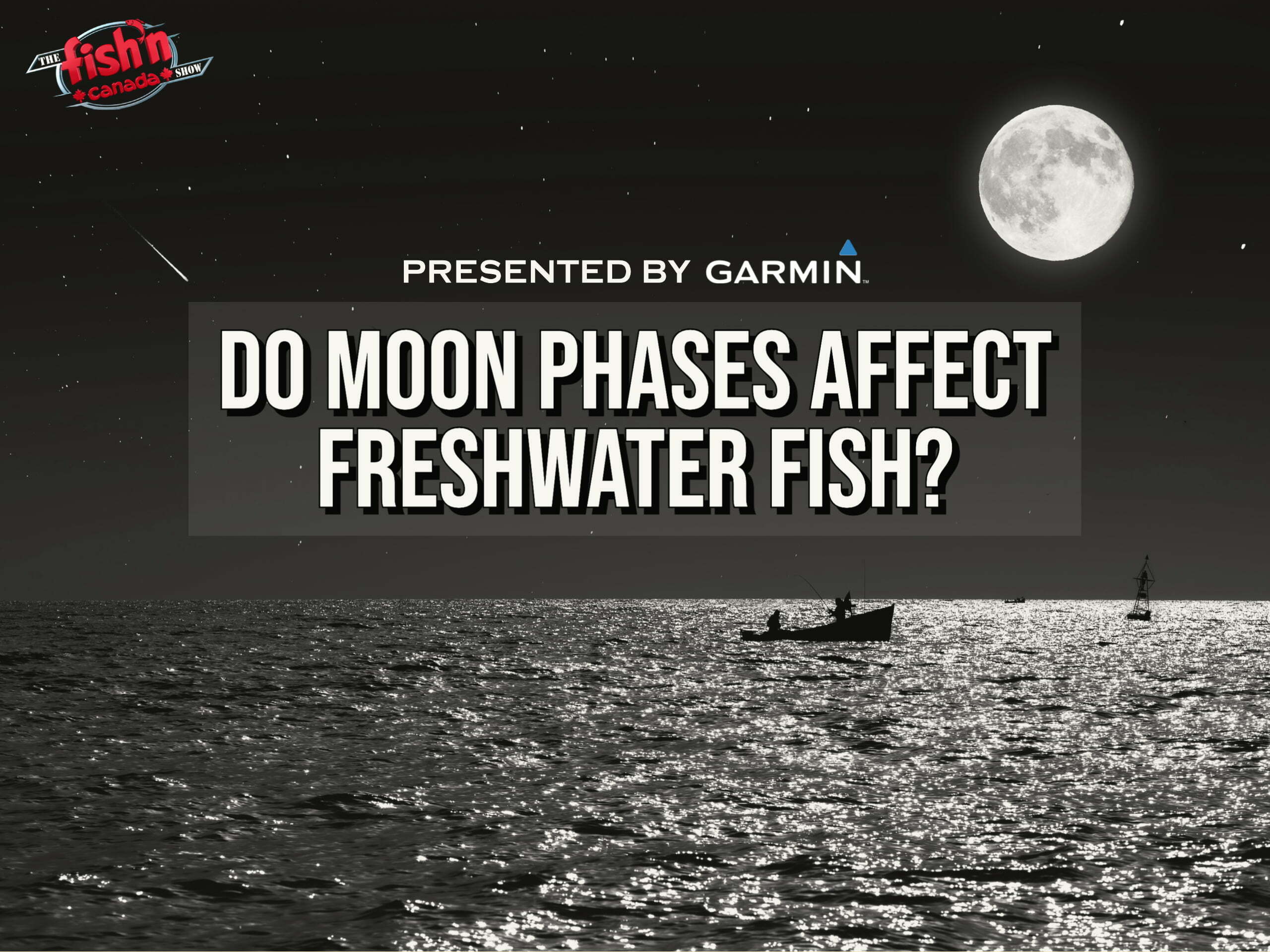 Do Moon Phases Affect Freshwater Fish Behaviour? - Fish'n Canada