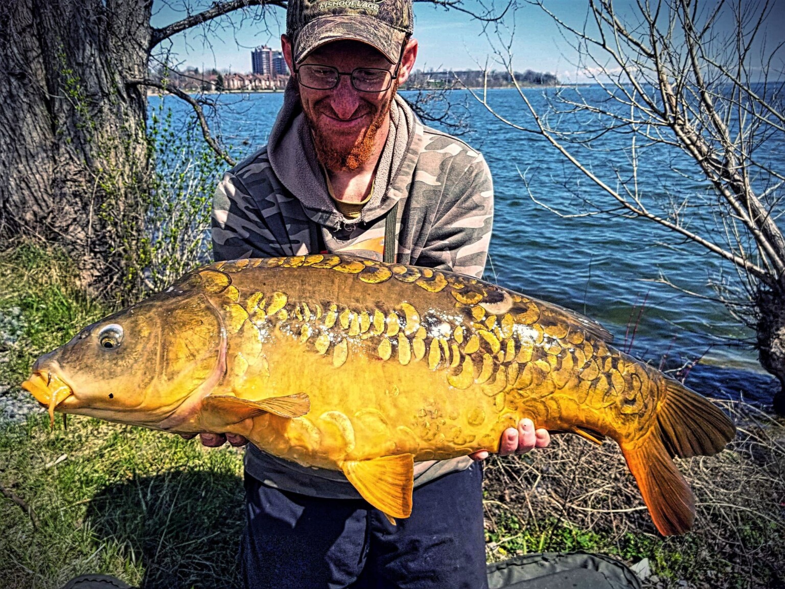 Top Five Urban Carp Fishing Spots in Ontario – Fish'n Canada