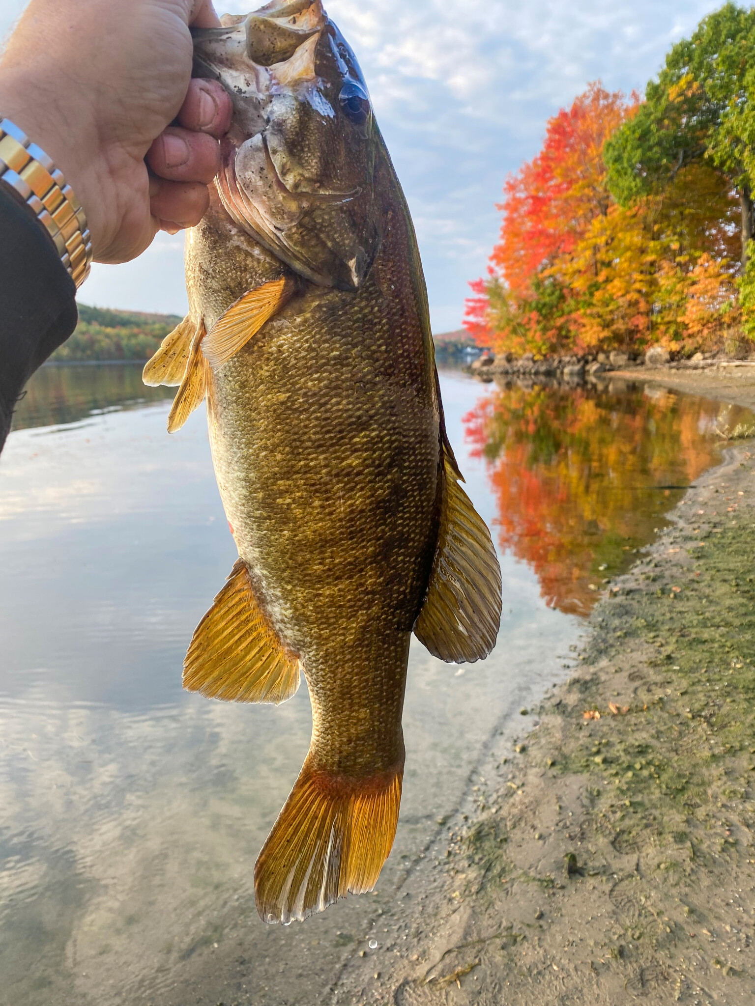 Shore Fishing In New Brunswick | Best Places To Fish In New Brunswick ...