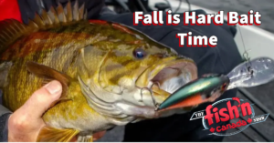 Fall is Hard Bait Time