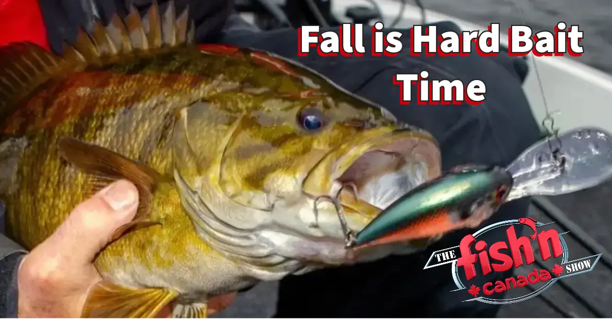 Fall is Hard Bait Time - Fish'n Canada