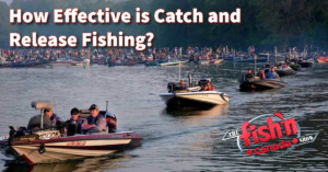 How Effective is Catch and Release Fishing?