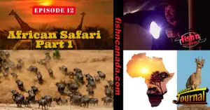 ODJ TV YouTube Channel Episode 12: African Safari Part 1