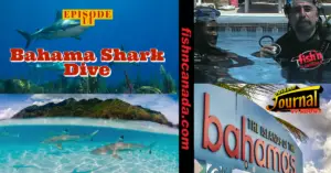 ODJ TV YouTube Channel Episode 14: Bahama Shark Dive