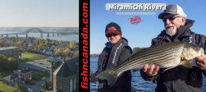 Behind the Scenes: Fall Stripers on the Miramichi