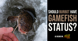 Should Burbot Have Gamefish Status?