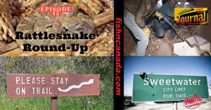 ODJ TV YouTube Channel Episode 15: Rattlesnake Roundup