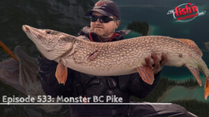 Episode 533: Monster British Columbia Pike