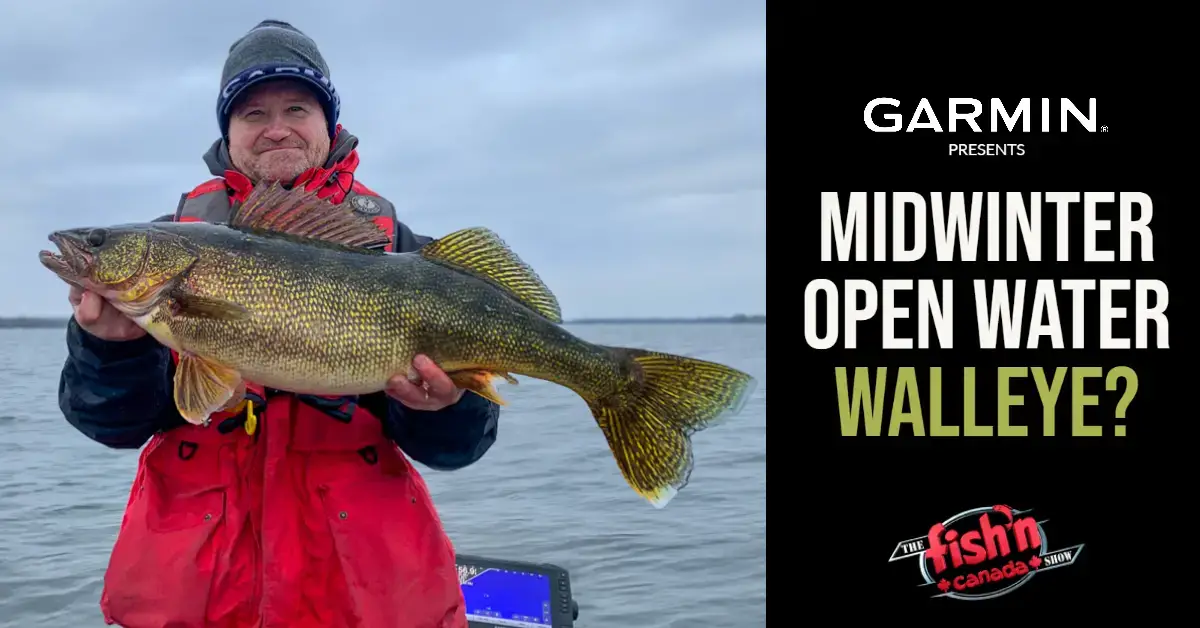 Midwinter Open Water Walleye? A Great Start to 2023 - Fish'n Canada