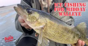 Ice Fishing for Midday Walleye