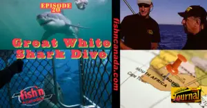 ODJ TV YouTube Channel Episode 20: Great White Shark Dive