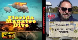 ODJ TV YouTube Channel Episode 26: Florida Manatee Dive