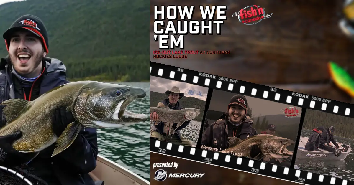 How We Caught 'Em - BC Lake Trout - Fish'n Canada