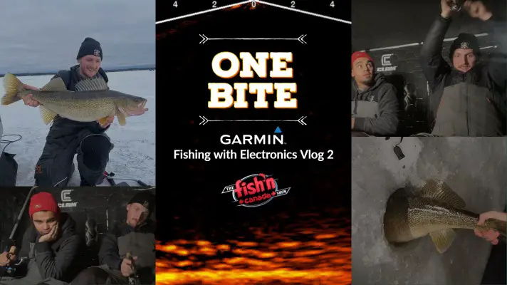 One Bite - Fishing with Electronics - Fish'n Canada