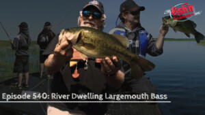 Episode 540: River Dwelling Largemouth Bass