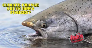 Climate Change Shuts Down Fishery?