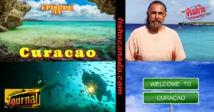 ODJ TV YouTube Channel Episode 33: Curacao