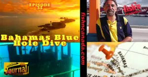 ODJ TV YouTube Channel Episode 35: Bahamas Blue Hole Dive