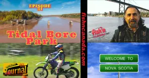 ODJ TV YouTube Channel Episode 31: Tidal Bore Park