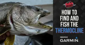 How to Find and Fish the Thermocline