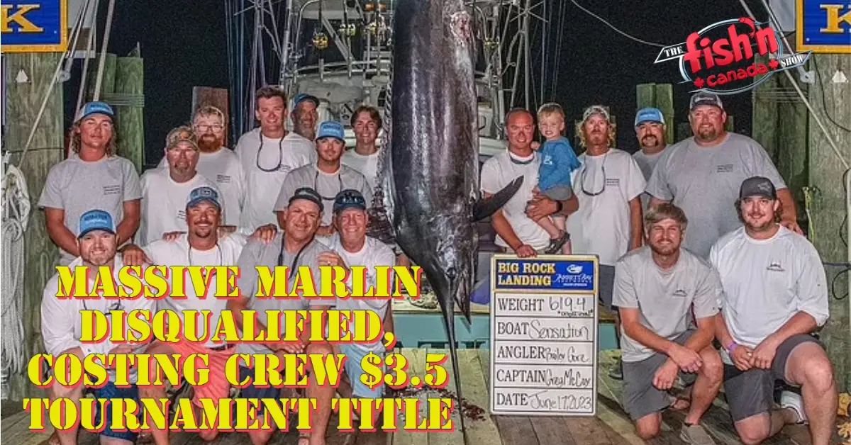 Massive Marlin Disqualified, Costing Crew $3.5 Tournament Title – Fish