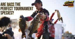 Are Bass the Perfect Tournament Species?