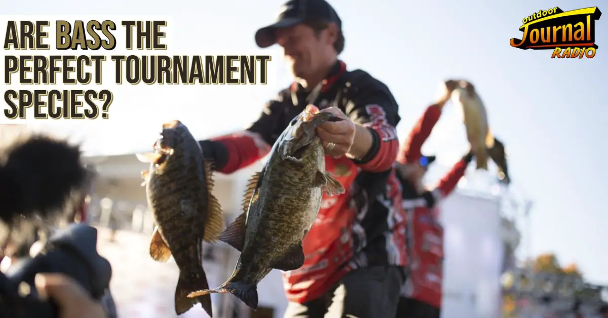 Are Bass the Perfect Tournament Species? - Fish'n Canada