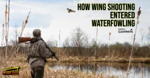 Don’t Shoot Sitting Ducks: How Wing-Shooting Entered Waterfowling