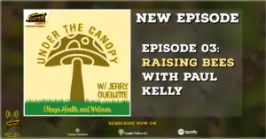 Under The Canopy Podcast Episode 03: Raising Bees with Paul Kelly