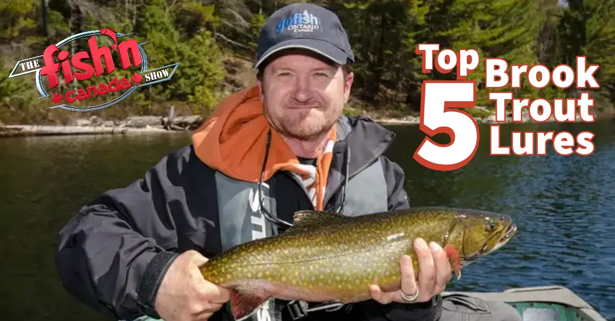 My best lures for BIG trout. Top 5 lures and why. 