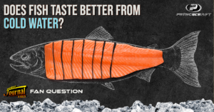 Does Fish Taste Better from Cold Water?